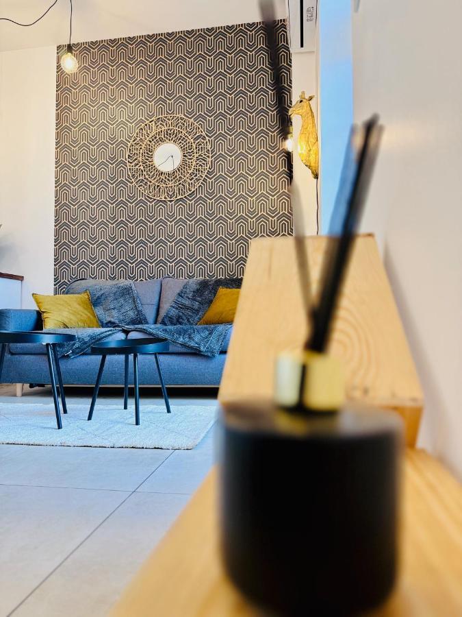 Chaleureux T2 Proche Gare Apartment Bourgoin-Jallieu Bagian luar foto